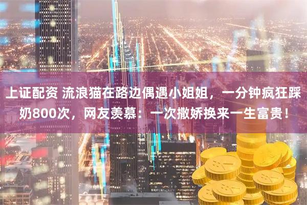 上证配资 流浪猫在路边偶遇小姐姐，一分钟疯狂踩奶800次，网友羡慕：一次撒娇换来一生富贵！