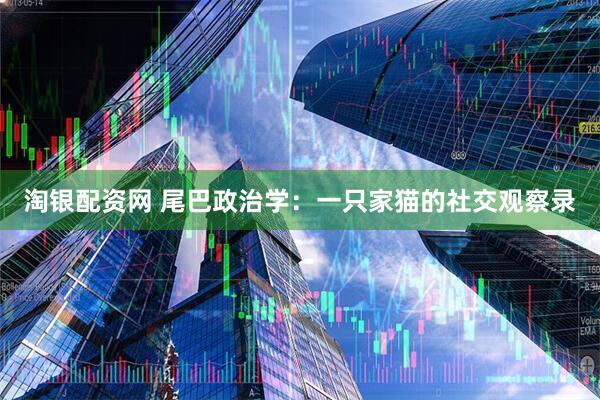 淘银配资网 尾巴政治学：一只家猫的社交观察录