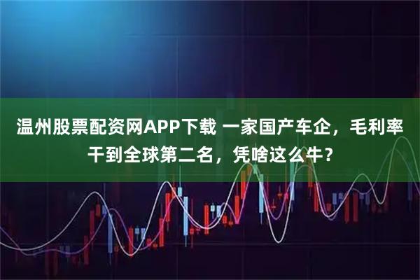 温州股票配资网APP下载 一家国产车企，毛利率干到全球第二名，凭啥这么牛？