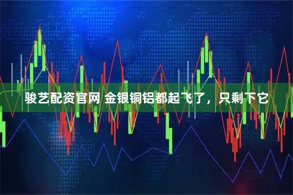 骏艺配资官网 金银铜铝都起飞了，只剩下它