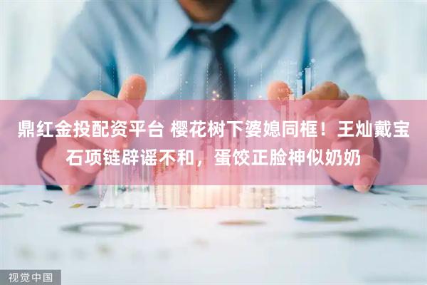 鼎红金投配资平台 樱花树下婆媳同框！王灿戴宝石项链辟谣不和，蛋饺正脸神似奶奶